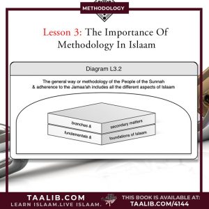 Educational-Section-1-Lesson3-20